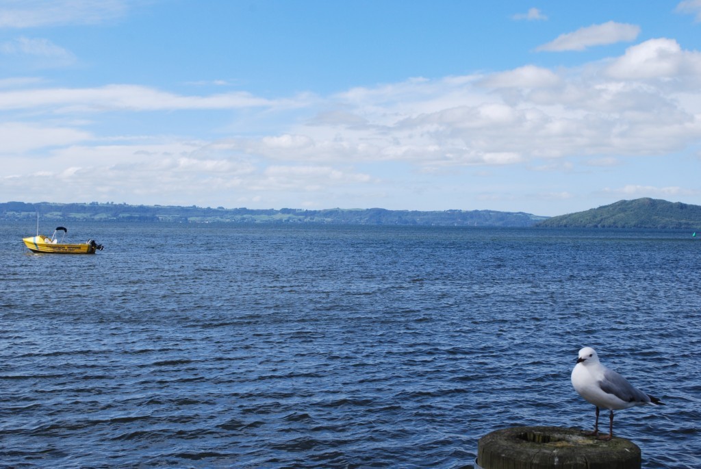 Lake Taupo