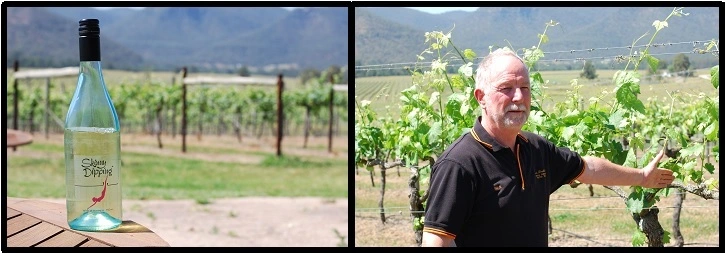 Mike standing next to vineyards at Mount Broke, part of Broke Fordwich region of NSW