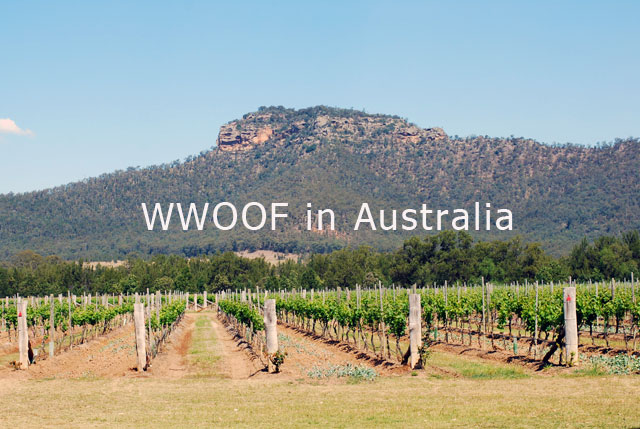 WWOOF in Australia