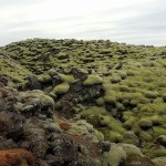 Lava Fields of Iceland