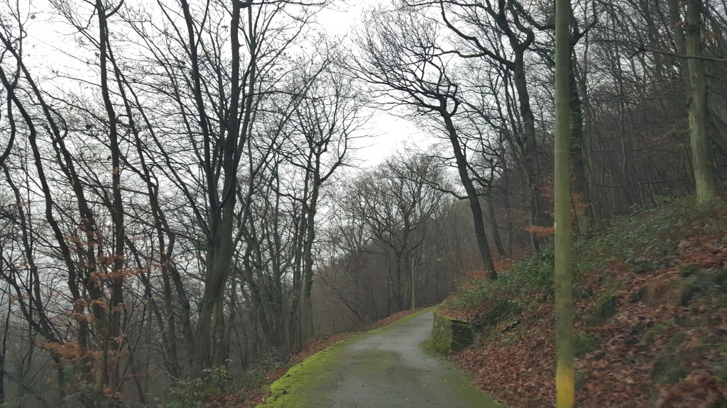 To footpath to Burg Sooneck, Middle Rhine Valley, Germany