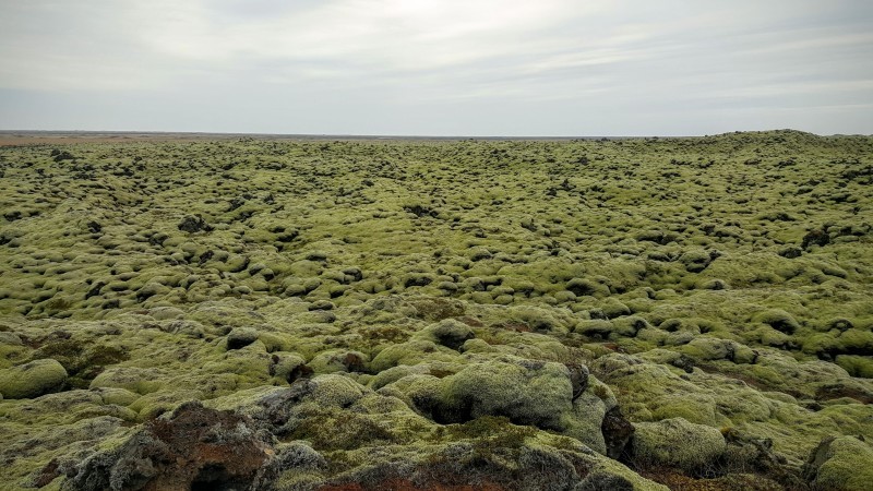 Lava Fields