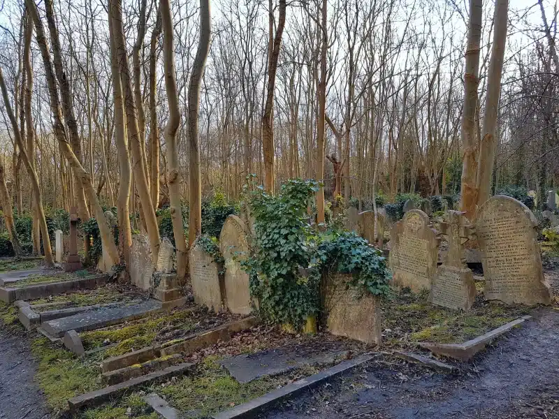 Gravestones surrounded by trees in Highgate Cemetery in London