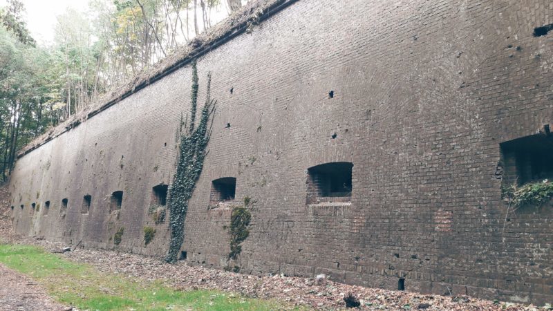 The walls of Fort Winiary, Park Citadel, Poznan