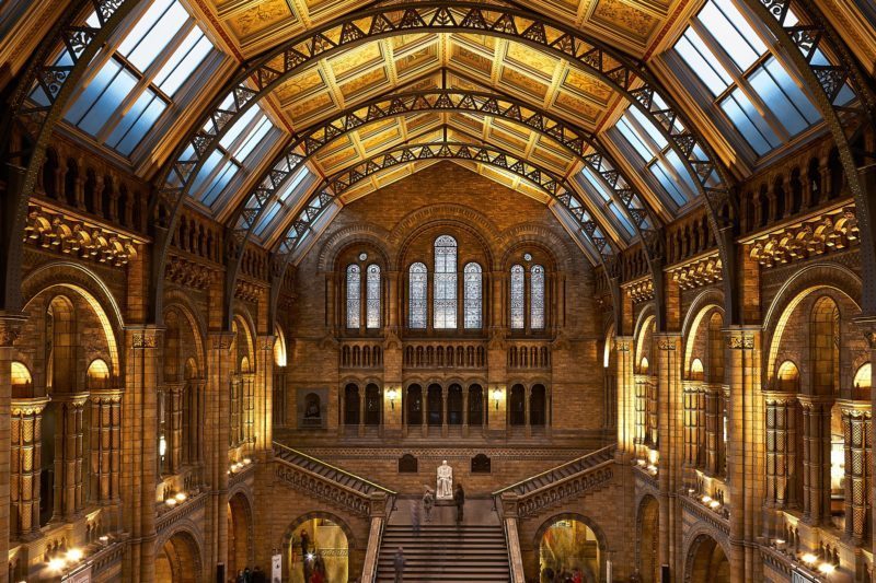 Hintze Hall in the Natural History Museum