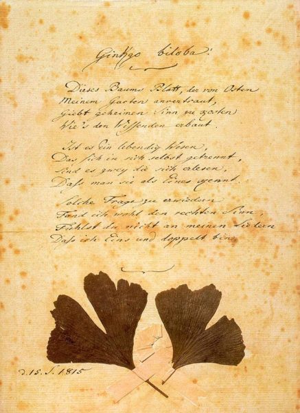 Ginkgo Biloba Poem by Goethe