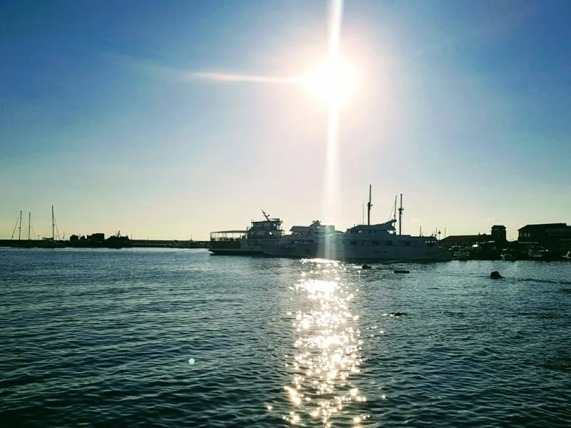 Boats on Paphos Harbour in Cyprus