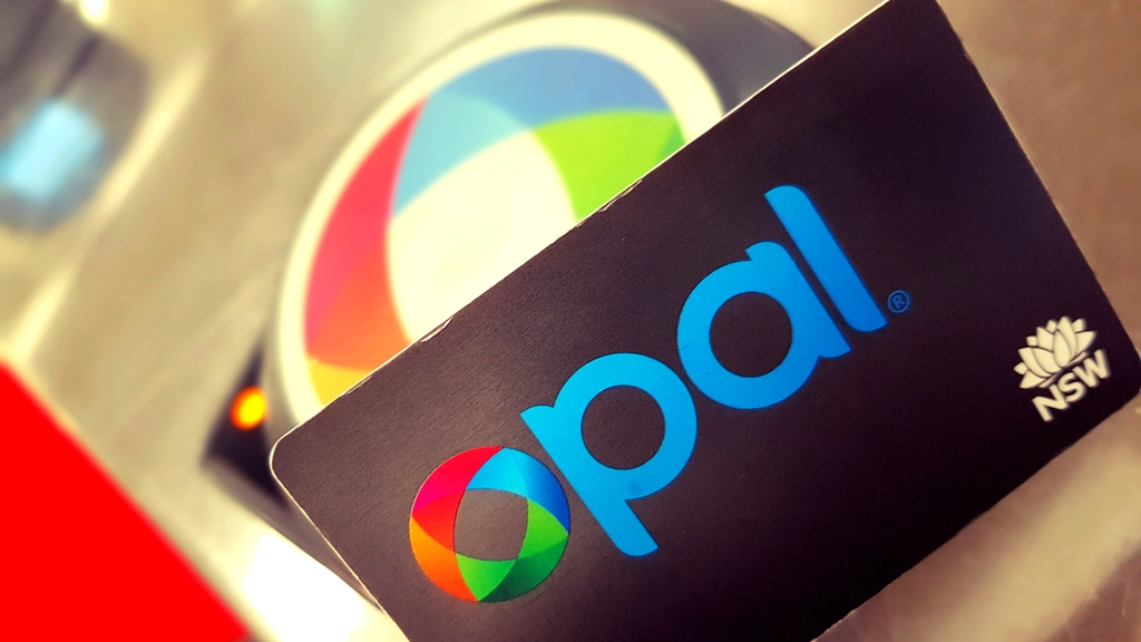 Adult Opal Card