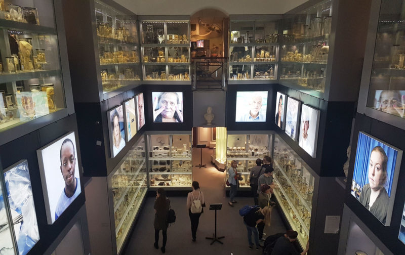 Hunterian Museum, London