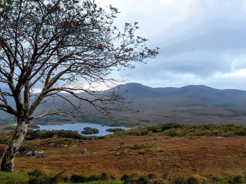 Mountain view along the Ring of Kerry in Ireland