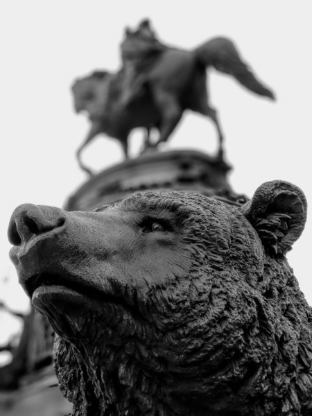 Washington Monument Fountain - Bear 