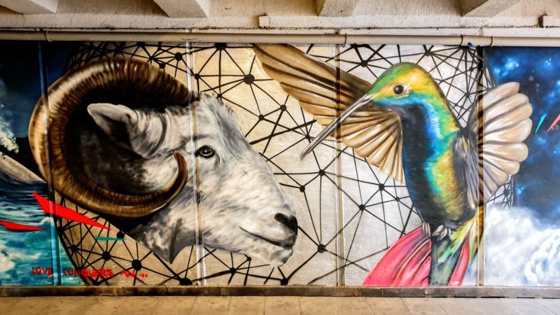 Street art featuring a goat and hummingbird
