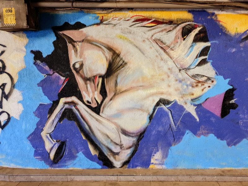 Street art of white horse appearing to break through the wall canvas
