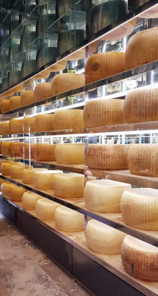 Shelves of Parmasan cheese in their containers. A delicious sight. 