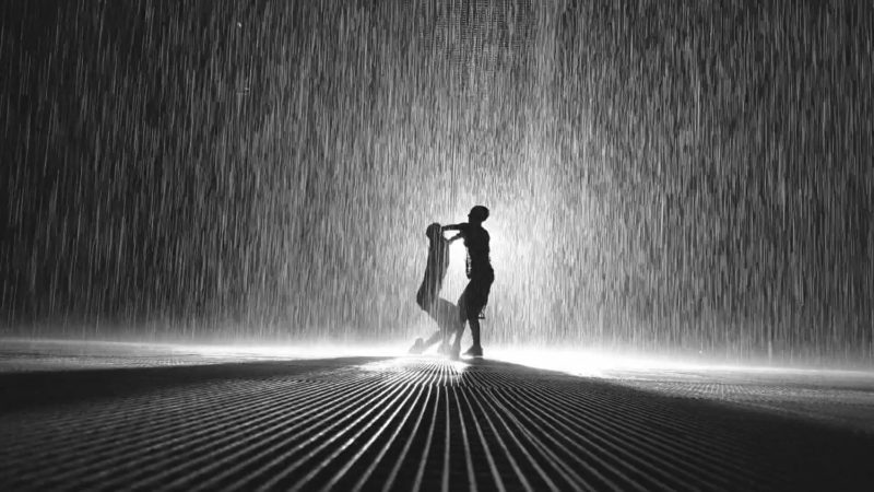 Rain Room in Sharjah 