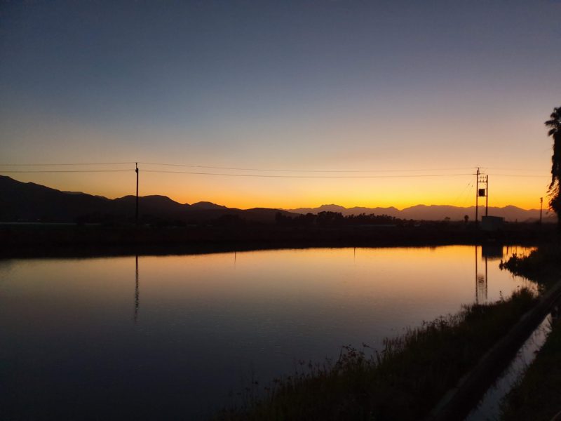 Silhouetted trees against an orange and blue night sky with crystal clear lake reflections. Buying a SIM card in South Africa 