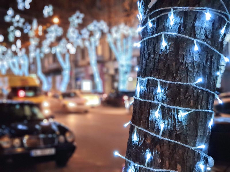 Blue Christmas lights wrapped around a tree www.roamingrequired.com