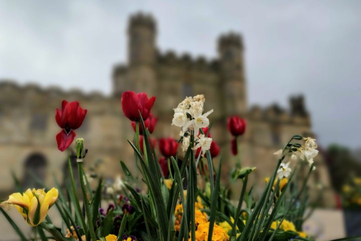 The entrance of one of the amazing historical places in the UK, Battle Abbey. Battle Abbey is in the background with colourful flowers in the foreground www.roamingrequired.com