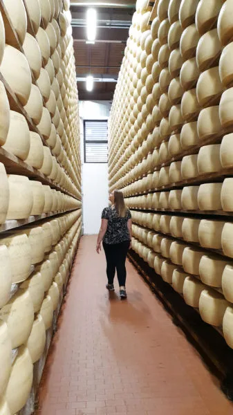Cheese room at Coredo dairy 