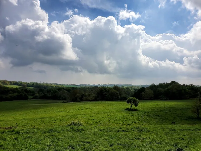 The 1066 Battle of Hastings battleground as it looks today