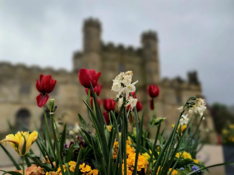 The entrance of one of the amazing historical places in the UK, Battle Abbey. Battle Abbey is in the background with colourful flowers in the foreground