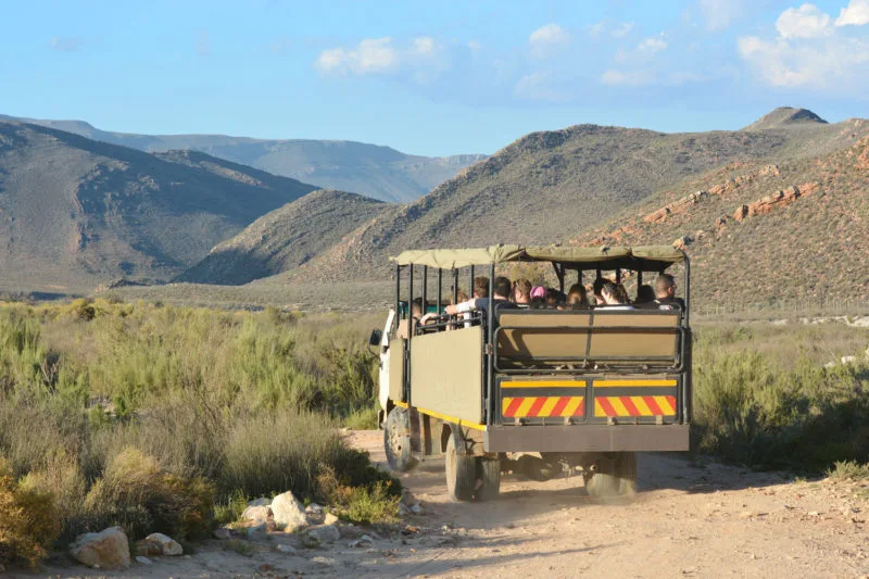Jeep on the plain at Aquila Safari near Cape Town 