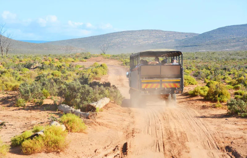 Jeep at Aquila Safari near Cape Town 