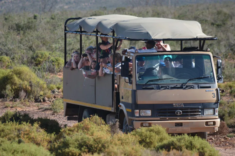 Jeep at Aquila Safari near Cape Town 