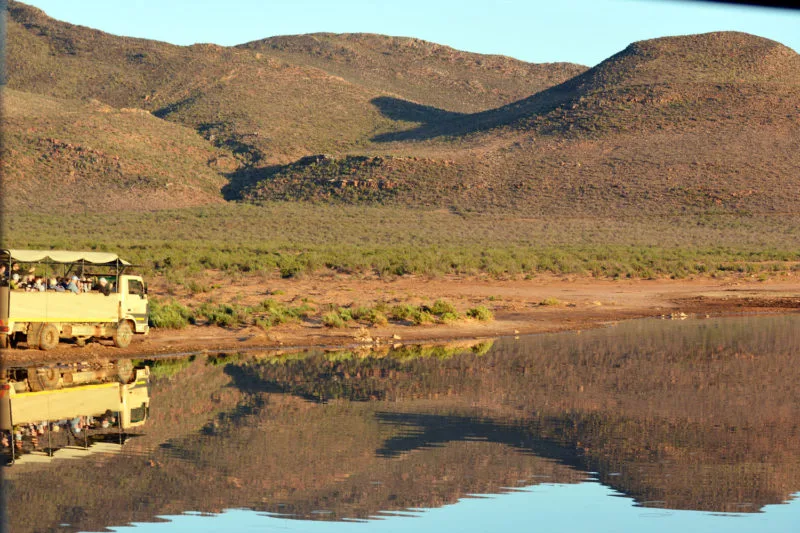 Reflections at Aquila Safari near Cape Town