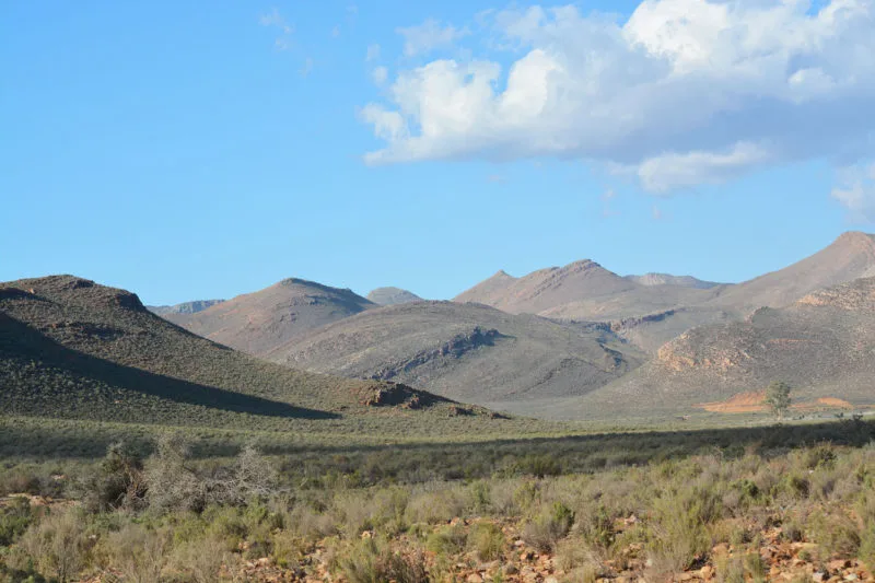 Plain at Aquila Safari near Cape Town 