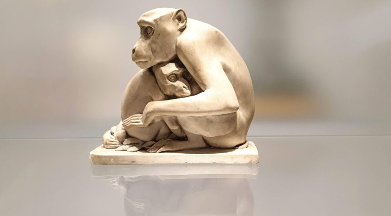Monkey at World of Wedgewood. Just one of many things to see during a visit to the Potteries in Stoke-on-Trent