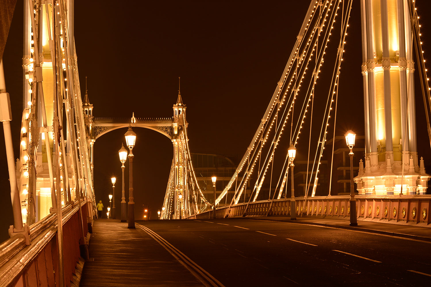 Night view of Albert Bridge all covered in lights in London