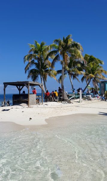 Oalm trees on Silk Caye in Belize, just one of the many places you'll need to add to your Belize packing list