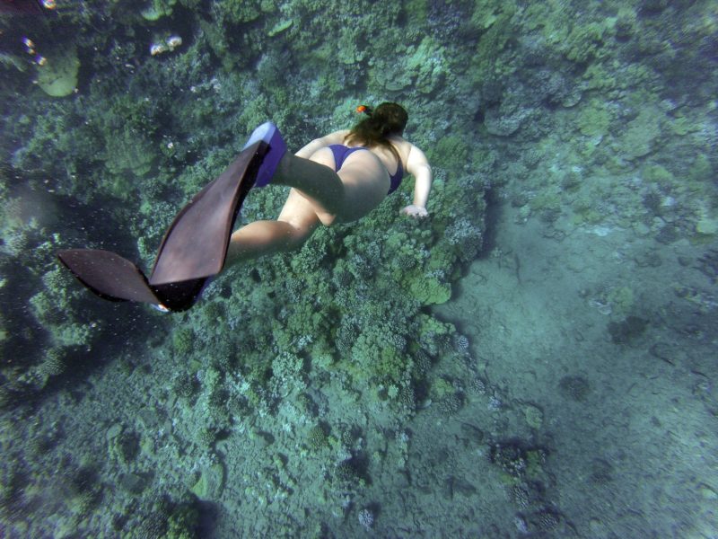 Snorkelling in Belize shot underwater