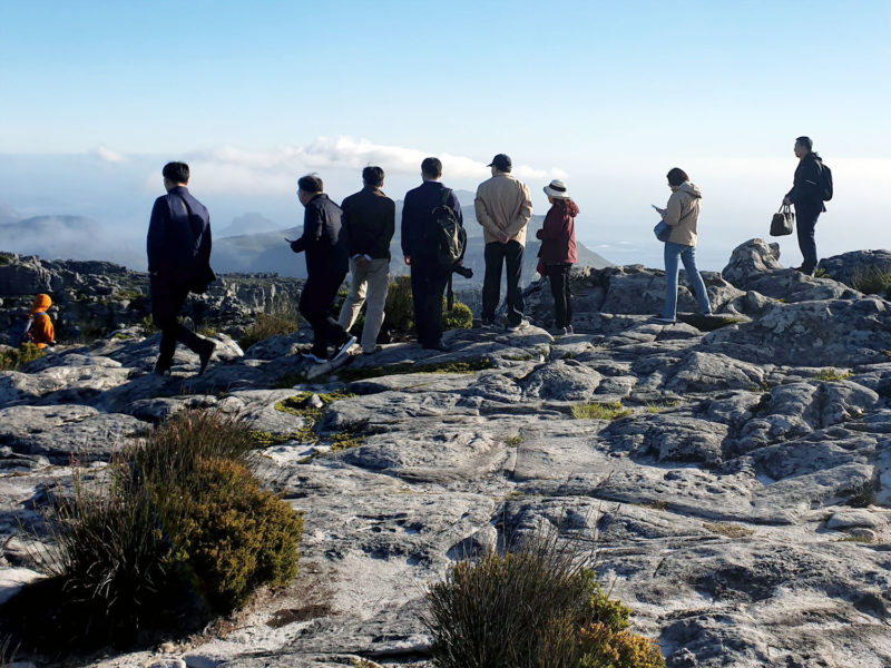 Table Mountain in Cape Town 