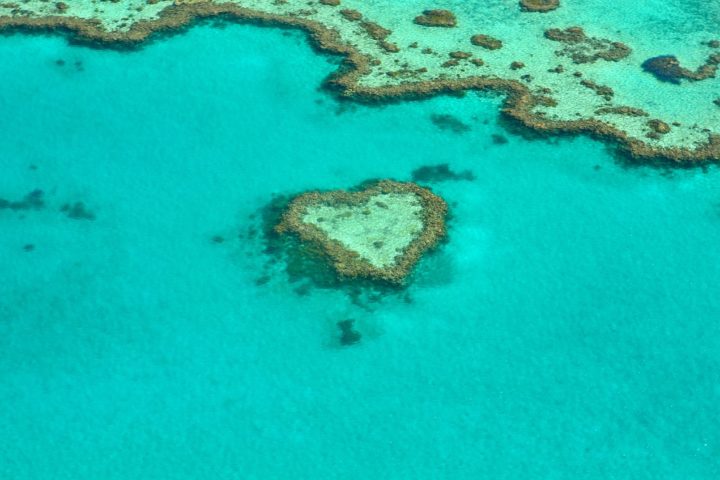 Whitsundays Heart Island from above