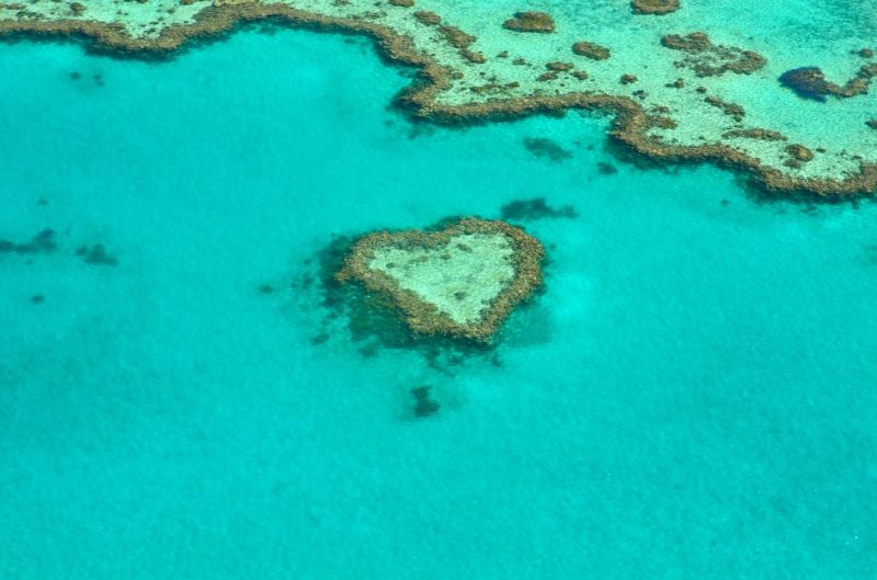 Whitsundays Heart Island from above