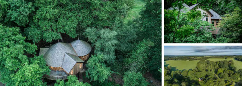 Treehouse on Airbnb in Kent