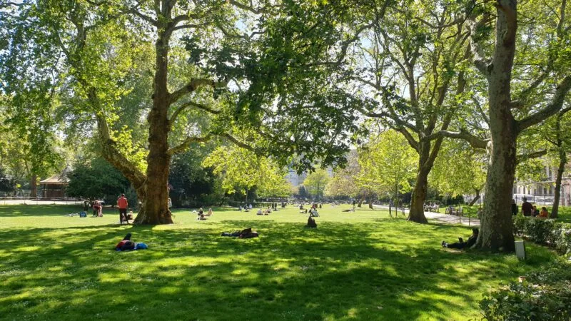 Lincoln's Inn Fields in Spring in London. One of the best places for a picnic in London
