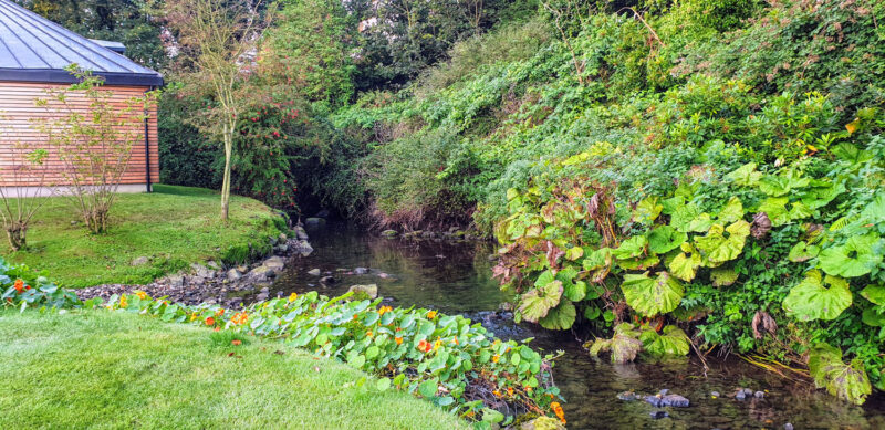 Garden at Ballygally Castle