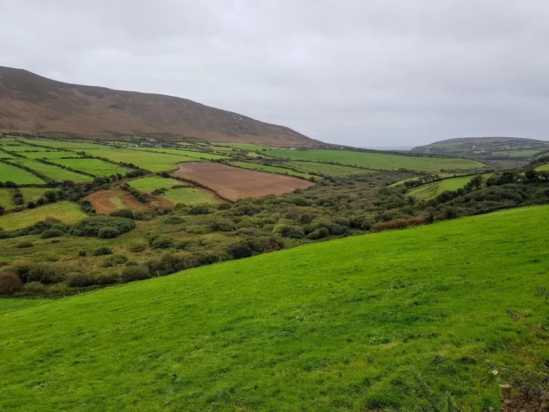 Green valley. One of the many reasons to visit the Dingle Peninsula