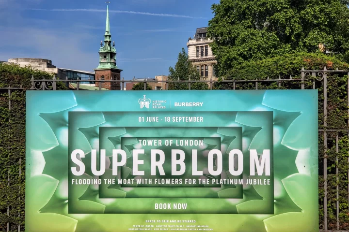 A large sign advertising Superbloom affixed to an iron gate with church steeple in the background.