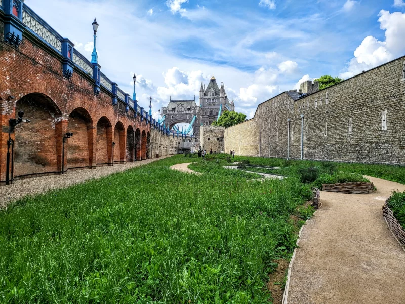 Image of Tower Bridge in the centre of photo with brick wall to the left and Tower of London to the right