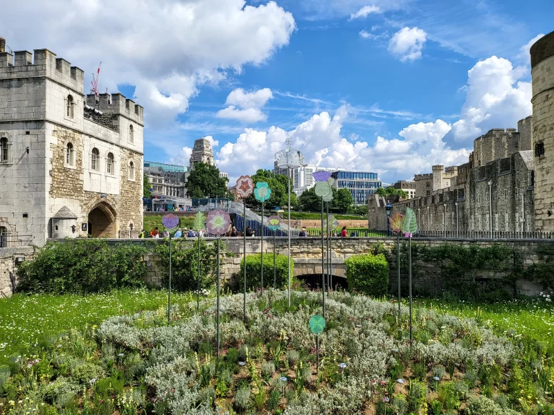 The Queen's Garden at Superbloom at the Tower of London. Garden in the centre of photo, the glass crown in centre middle. Tower of London to the right side of the image with blue skies in the centre top.