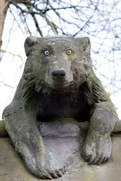 The Animal Wall at Cardiff Castle. Image of a bear with glass eyes. One of many things to do during a weekend break in Cardiff.