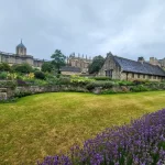 Green garden with purple flowers, historic buildings in background