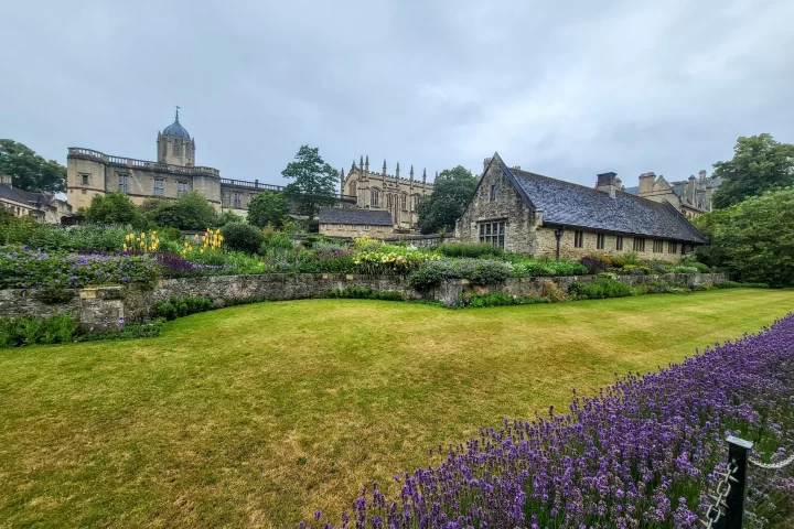 Green garden with purple flowers, historic buildings in background