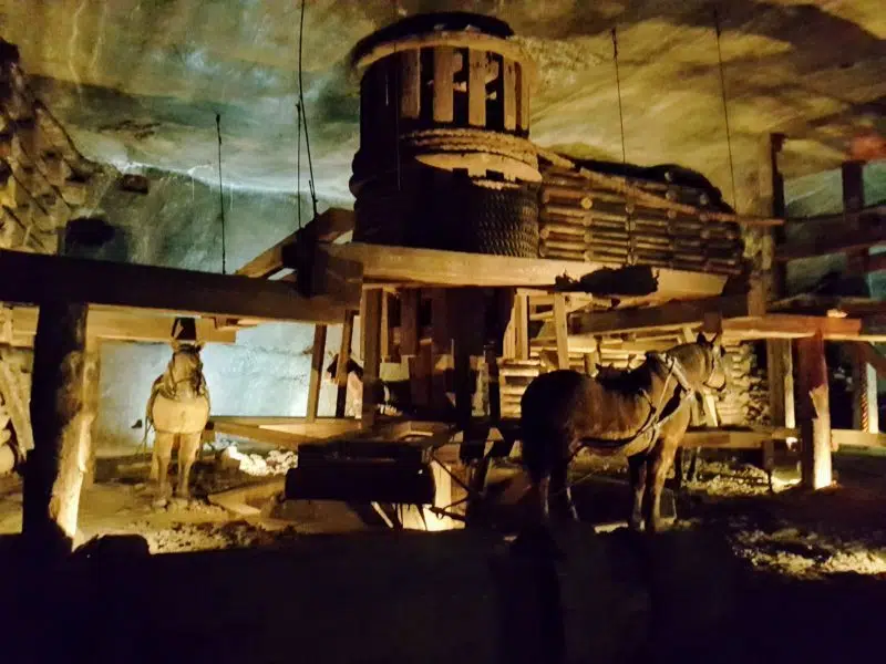 Display of horses working in the salt mine