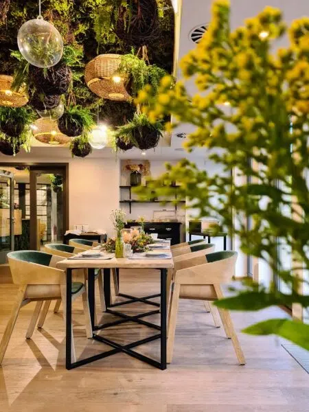 Ferns hanging from the ceiling at the restaurant in the Herbarium in Olomouc