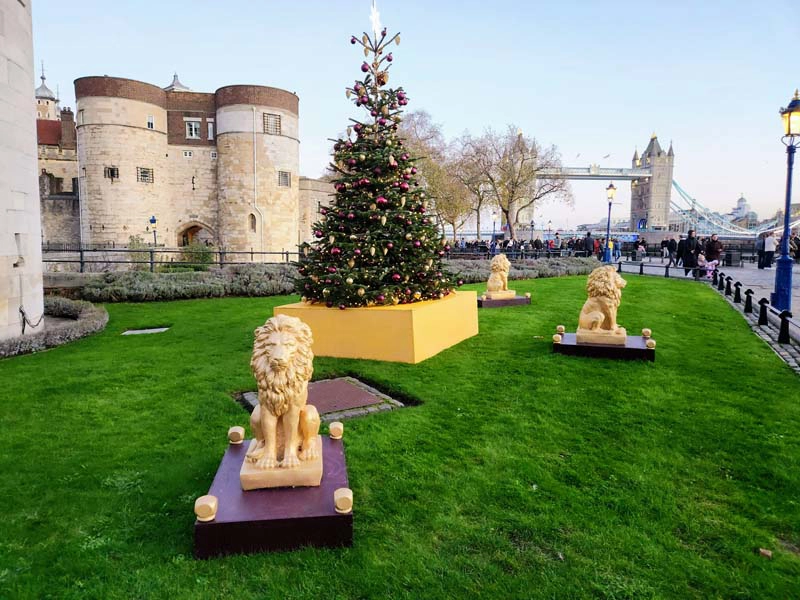 Christmas at the Tower of London, 3 Lordy Lions 